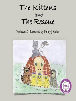 cover image of The Kittens and the Rescue